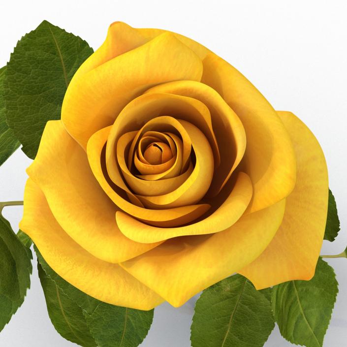 3D Rose Yellow