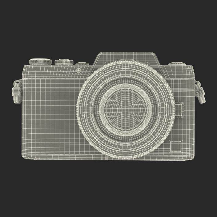 Panasonic DMC GF7 Rigged Pink 3D model