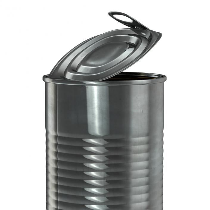 3D Open Empty Tin Can model