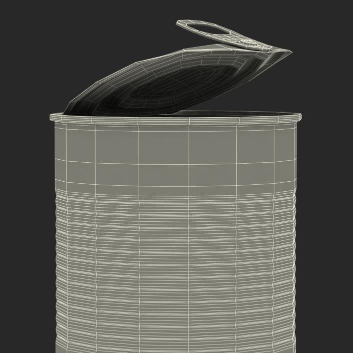 3D model Open Empty Tin Can 2