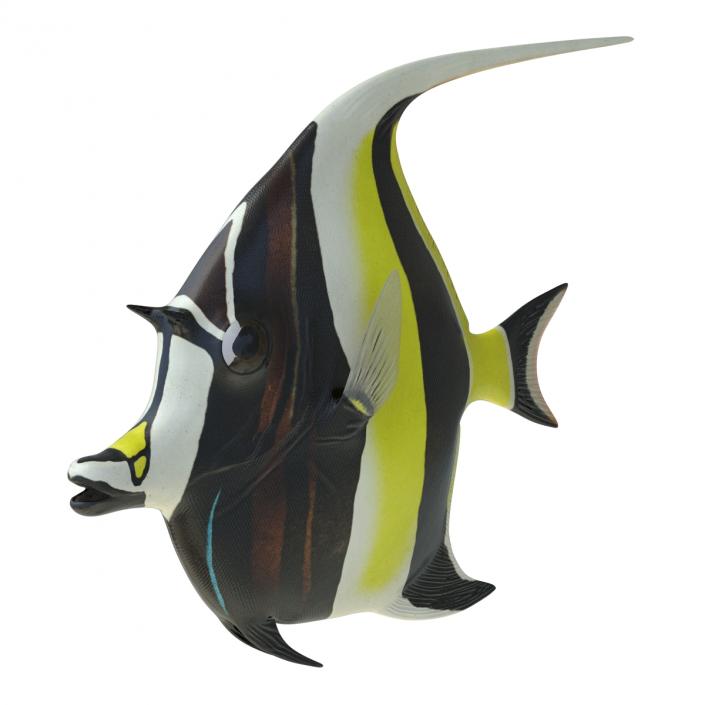 Moorish Idol Fish Rigged 3D model