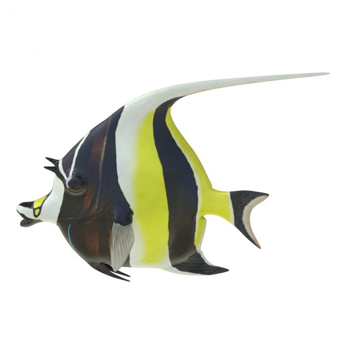 Moorish Idol Fish Rigged 3D model