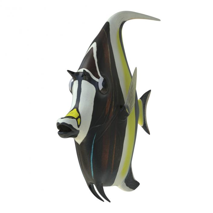 Moorish Idol Fish Rigged 3D model