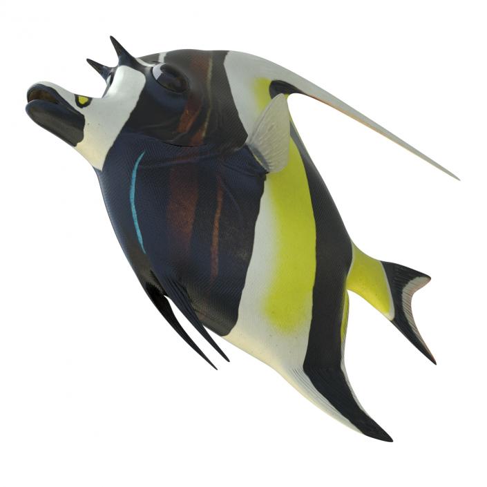 Moorish Idol Fish Rigged 3D model