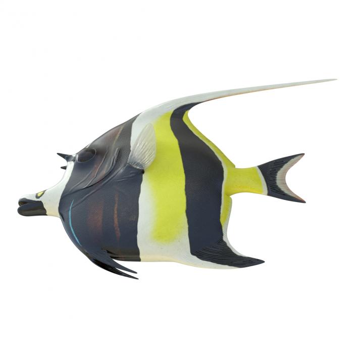 Moorish Idol Fish Rigged 3D model