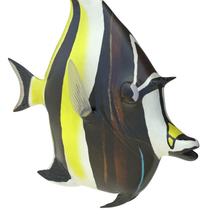 Moorish Idol Fish Rigged 3D model