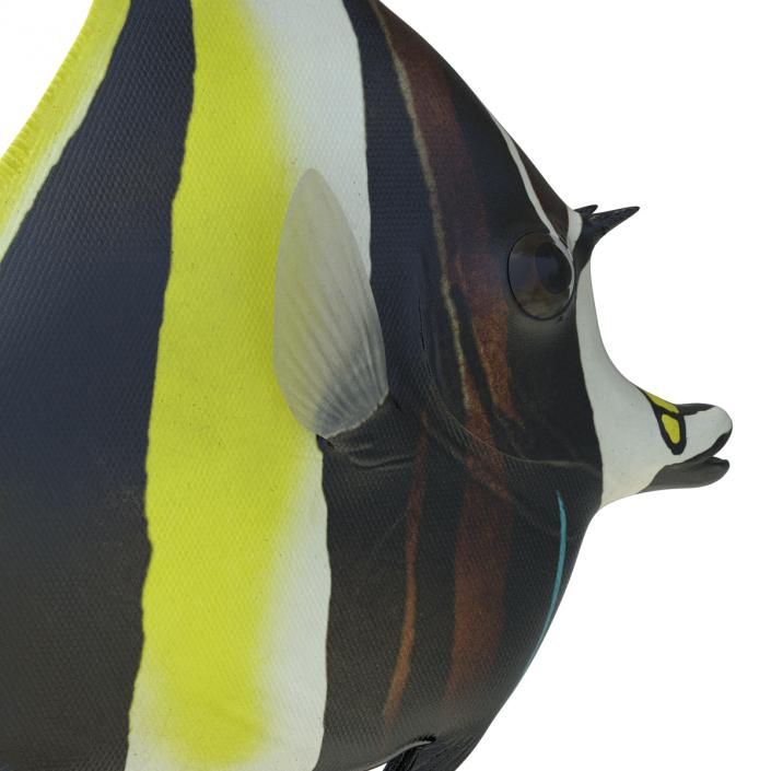 Moorish Idol Fish Rigged 3D model