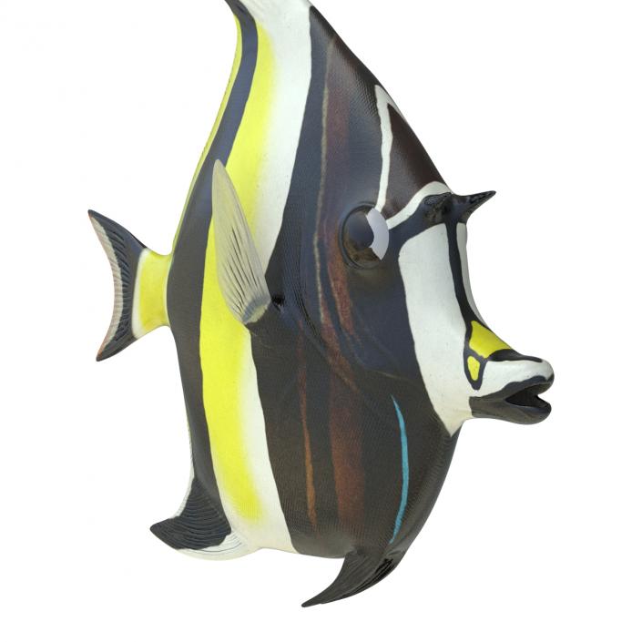 Moorish Idol Fish Rigged 3D model