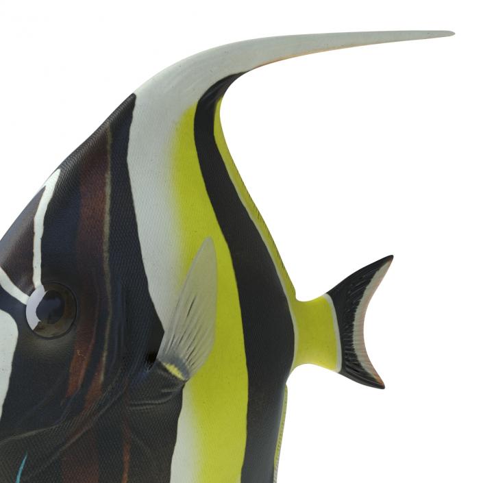 Moorish Idol Fish Rigged 3D model