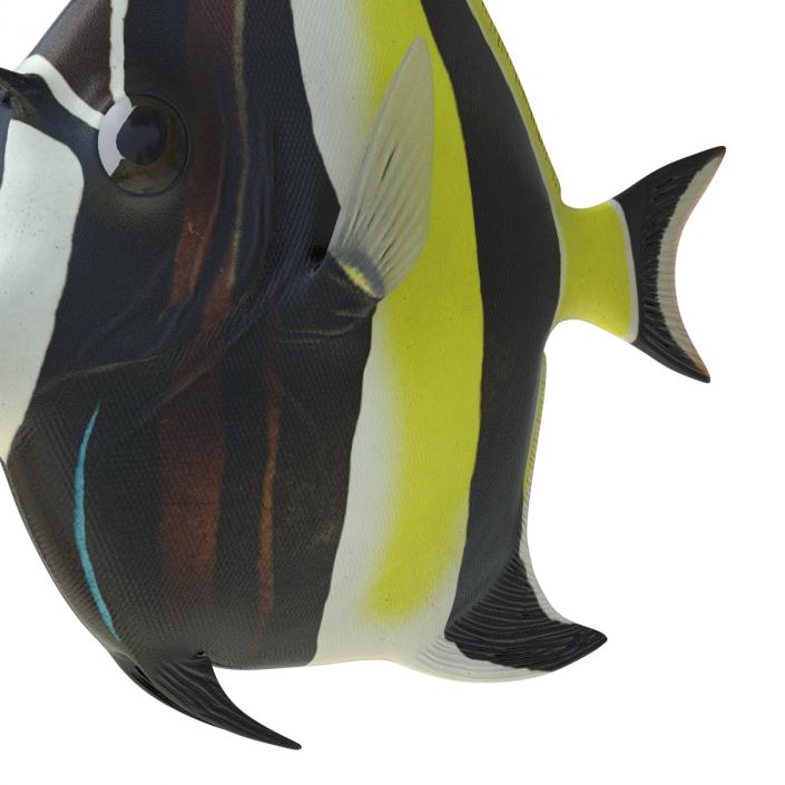 Moorish Idol Fish Rigged 3D model