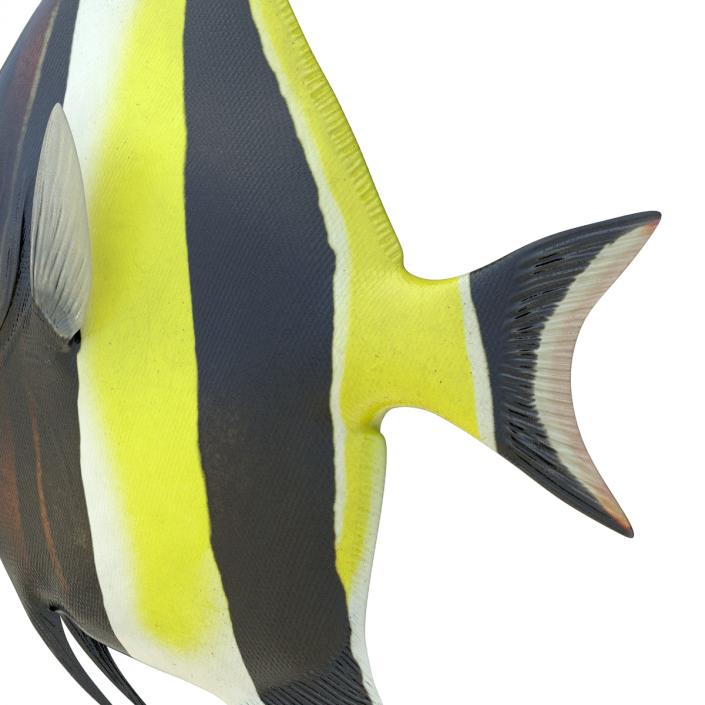 Moorish Idol Fish Rigged 3D model