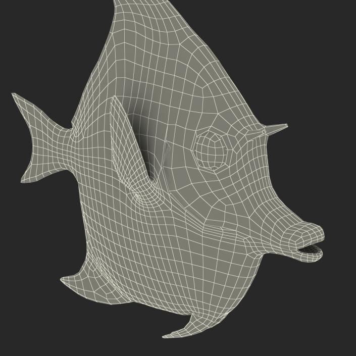 Moorish Idol Fish Rigged 3D model