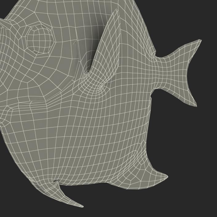 Moorish Idol Fish Rigged 3D model