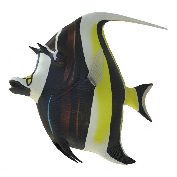 Moorish Idol Fish 3D