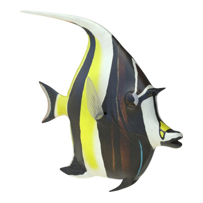 Moorish Idol Fish 3D