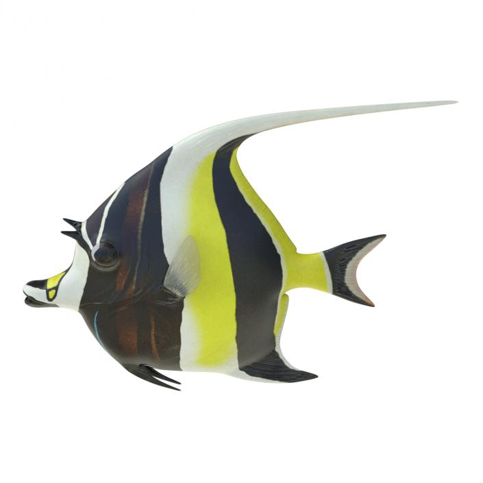 Moorish Idol Fish 3D