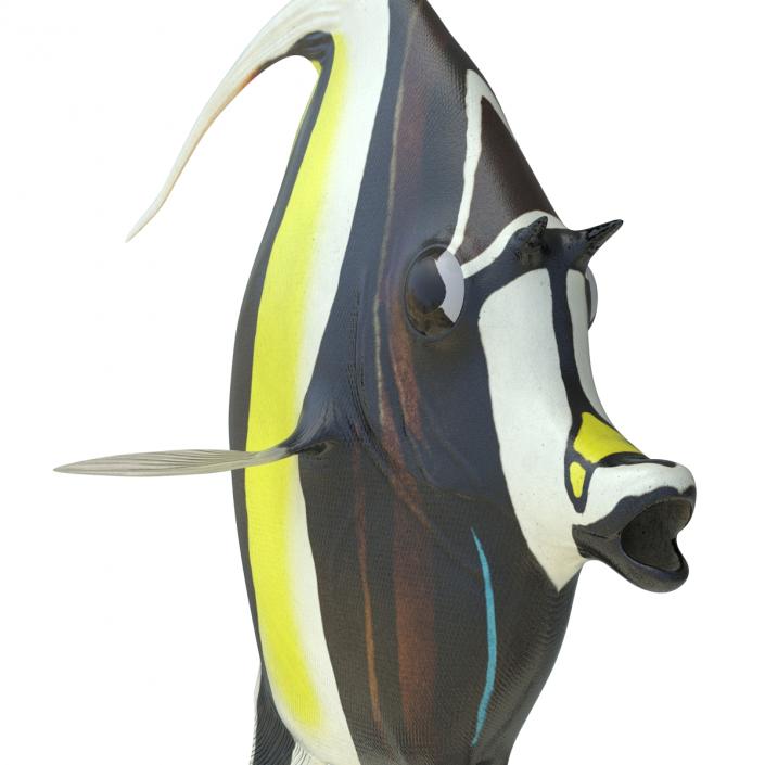 Moorish Idol Fish Pose 2 3D model