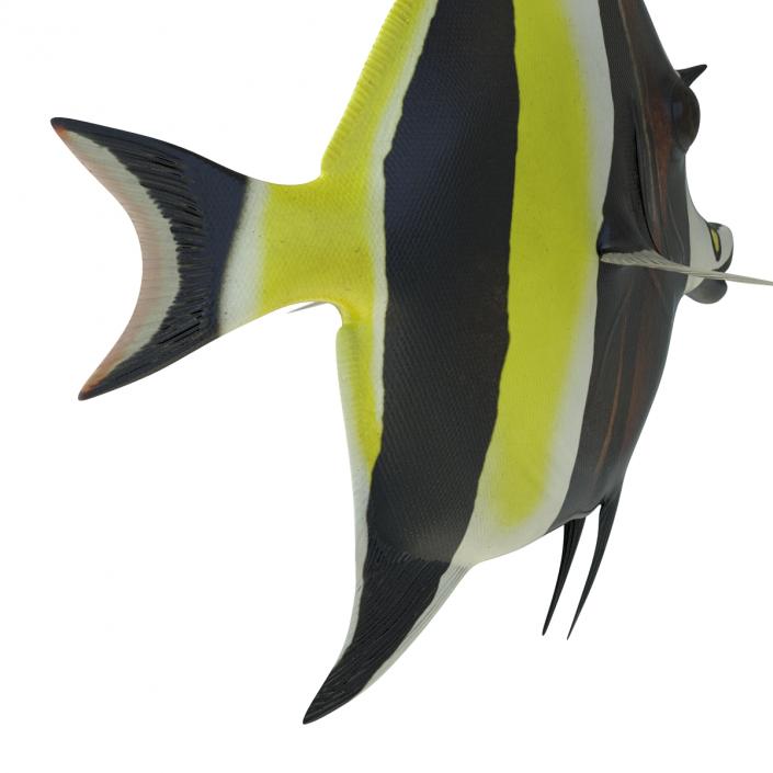 Moorish Idol Fish Pose 2 3D model