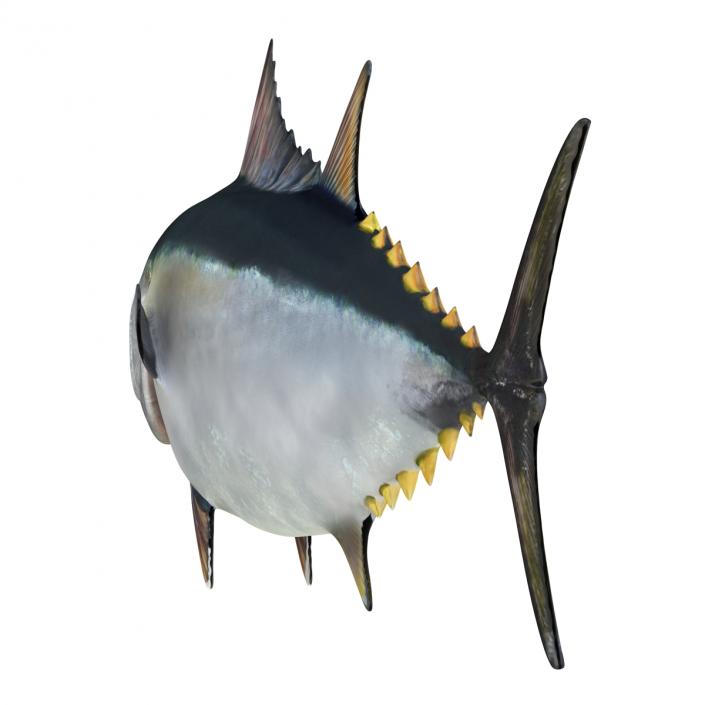 3D Tuna Fish Rigged