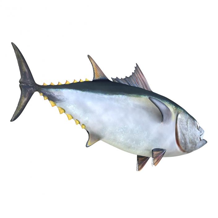 3D Tuna Fish Rigged