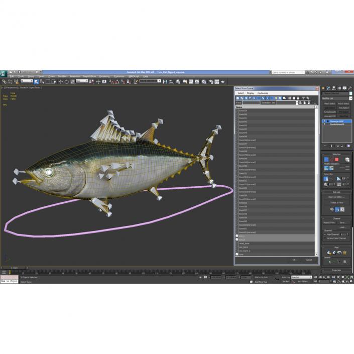 3D Tuna Fish Rigged