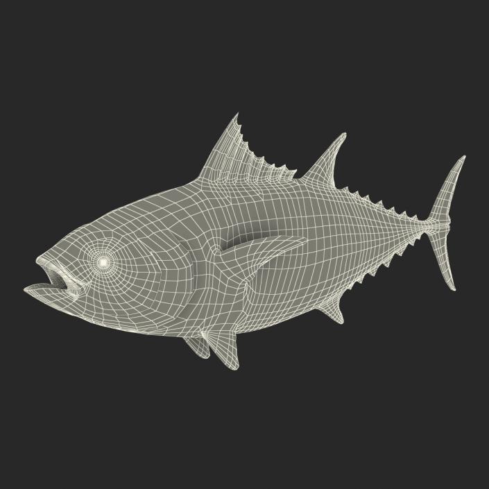 3D Tuna Fish Rigged