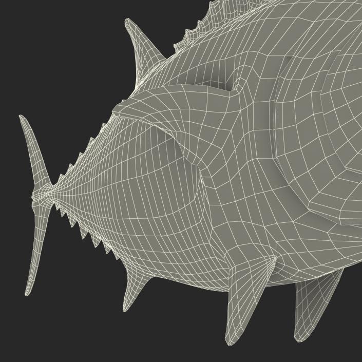 3D Tuna Fish Rigged