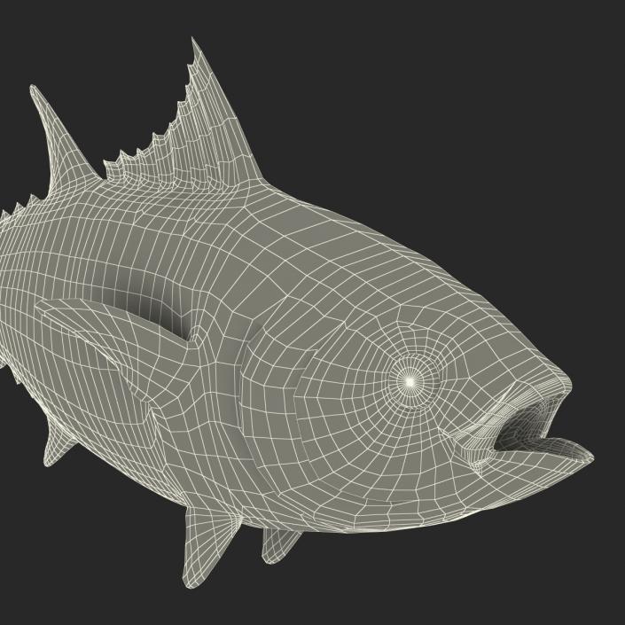 3D Tuna Fish Rigged