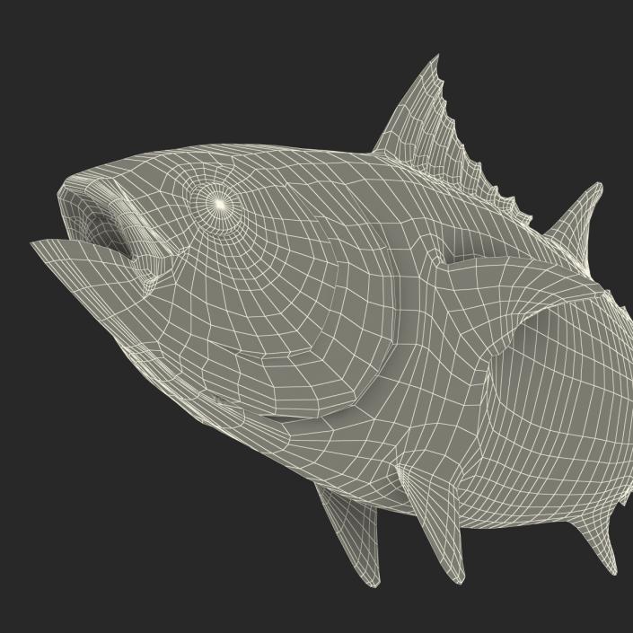 3D Tuna Fish Rigged