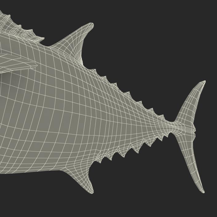 3D Tuna Fish Rigged