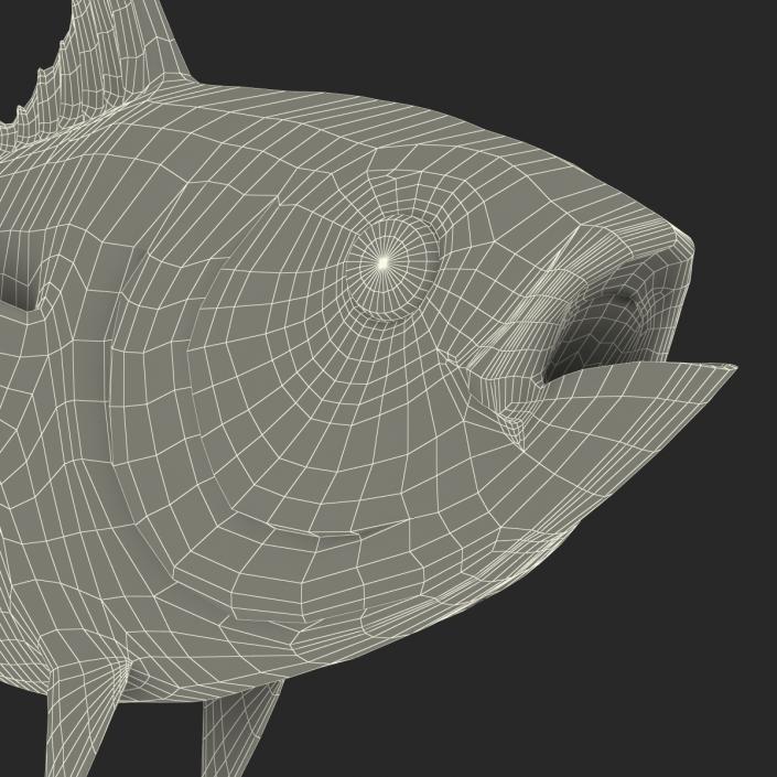 3D Tuna Fish Rigged