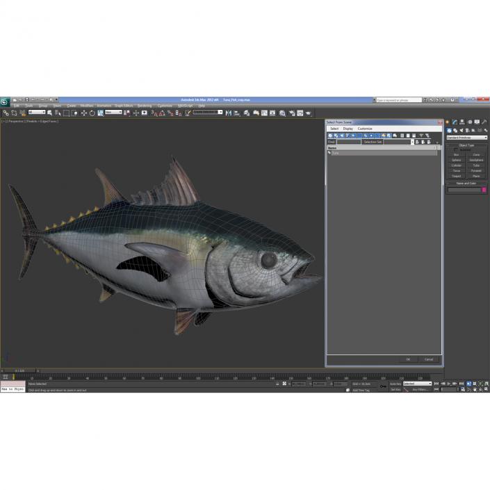 Tuna Fish 3D model