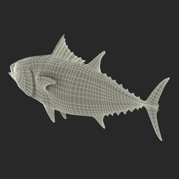 Tuna Fish 3D model