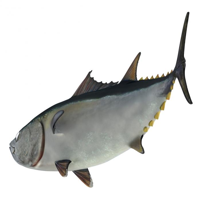 3D Tuna Fish Pose 2