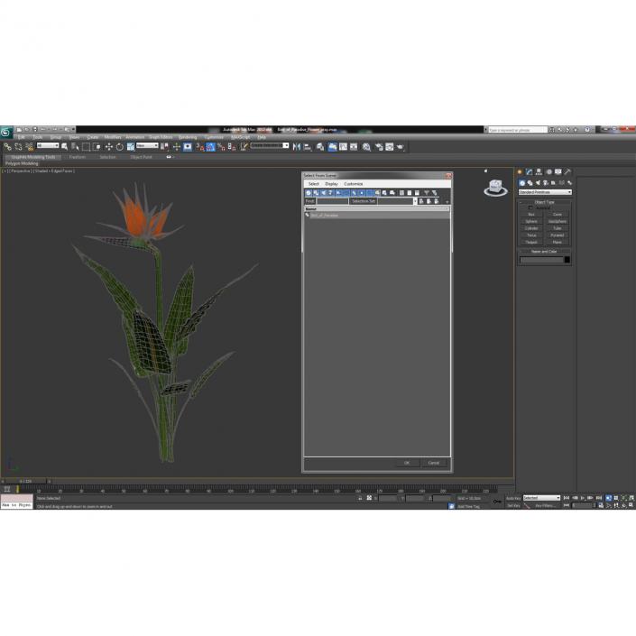 3D Bird of Paradise Flower model