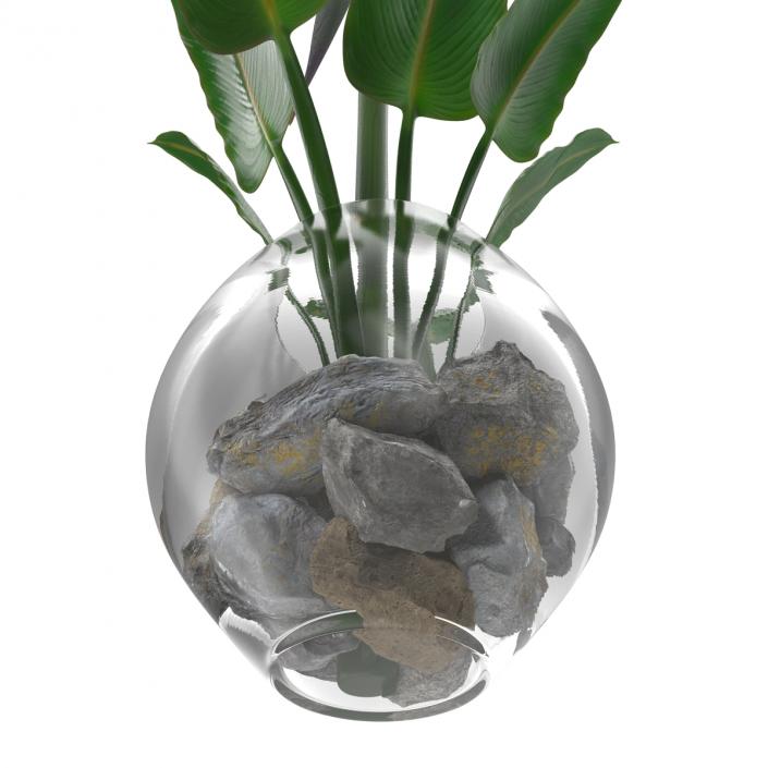 3D model Bird of Paradise in Glass Vase