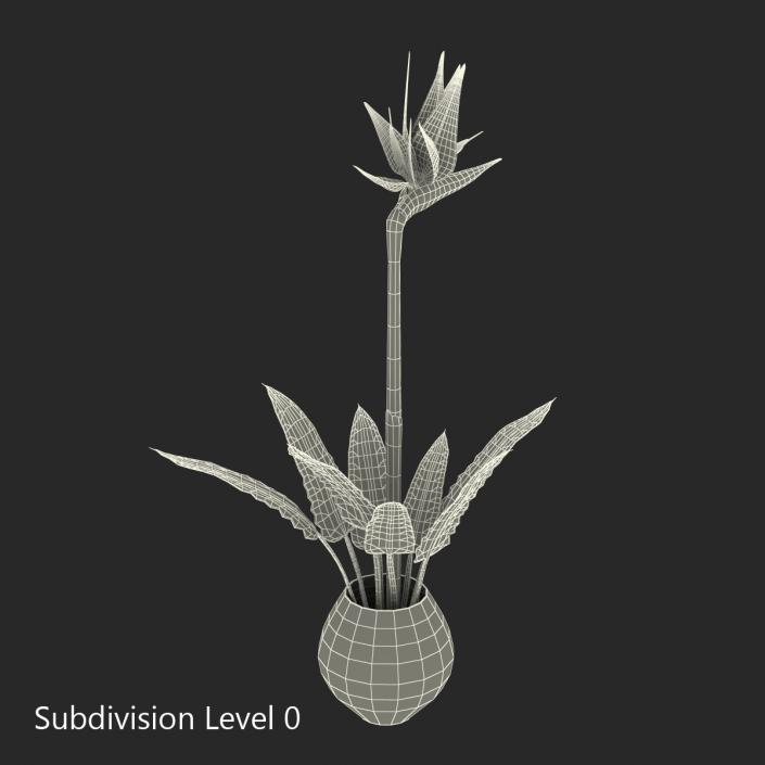 3D model Bird of Paradise in Glass Vase