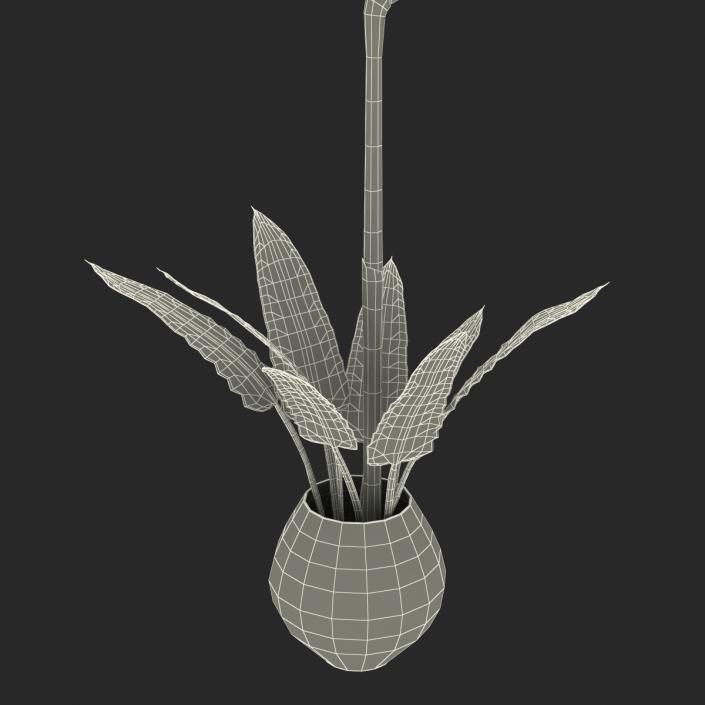 3D model Bird of Paradise in Glass Vase