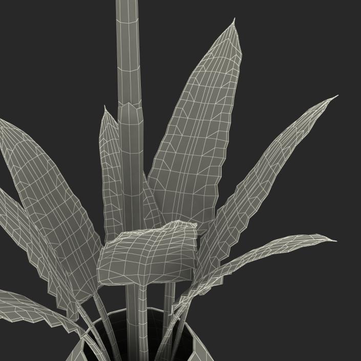 3D model Bird of Paradise in Glass Vase