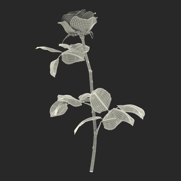 3D model Rose 3