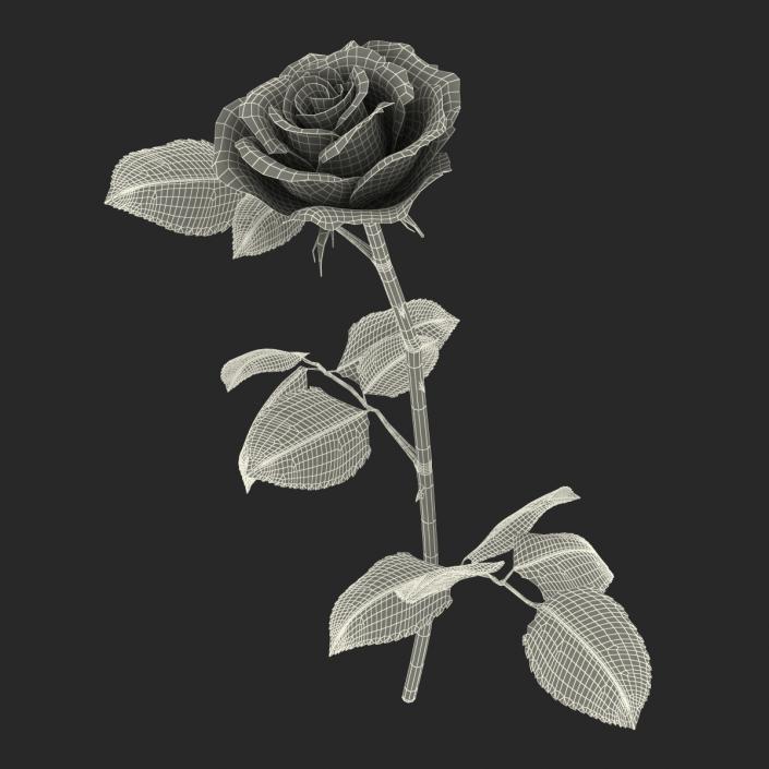 3D model Rose 3