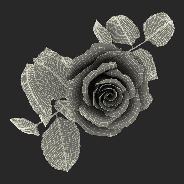 3D model Rose 3