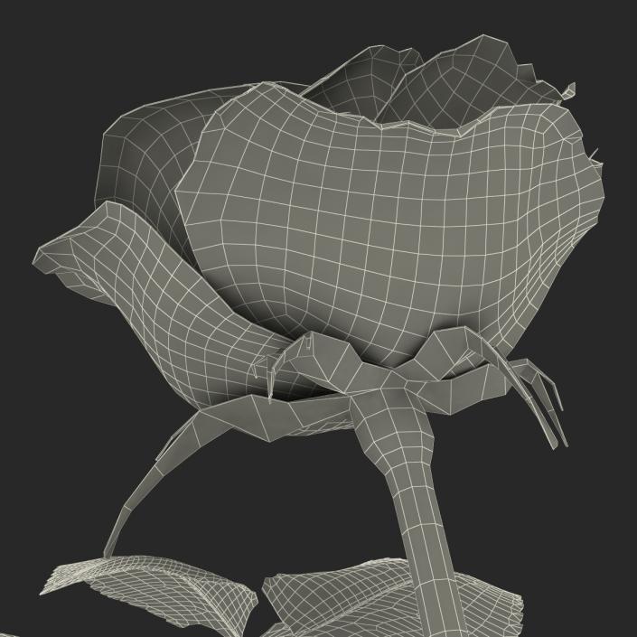 3D model Rose 3