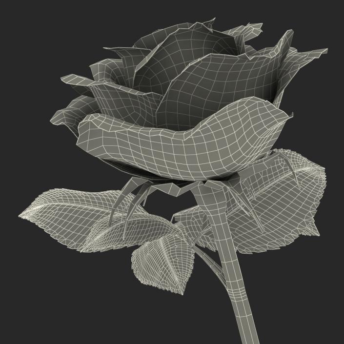 3D model Rose 3