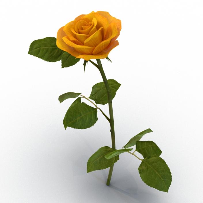 3D Rose 3 Yellow model