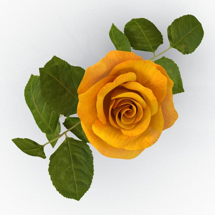 3D Rose 3 Yellow model