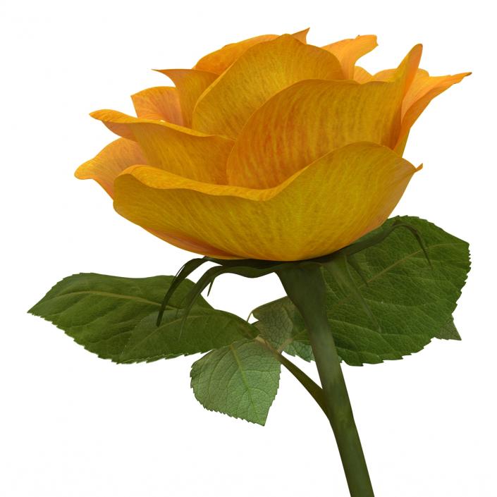 3D Rose 3 Yellow model