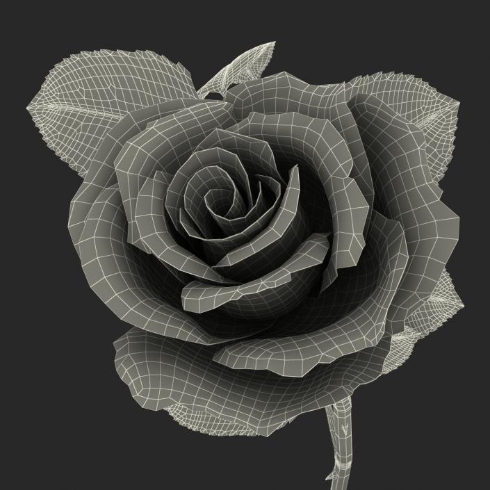 3D Rose 3 Yellow model