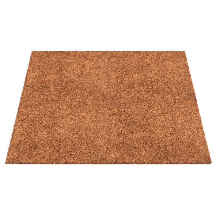 Carpet Beige 3D