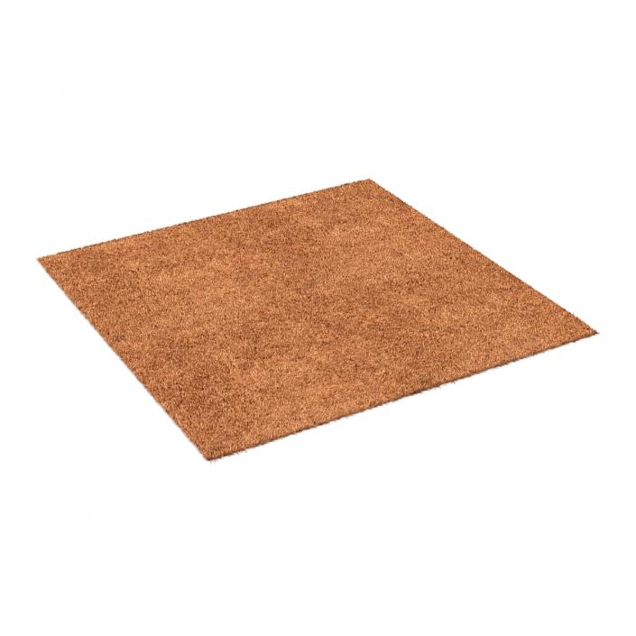 Carpet Beige 3D